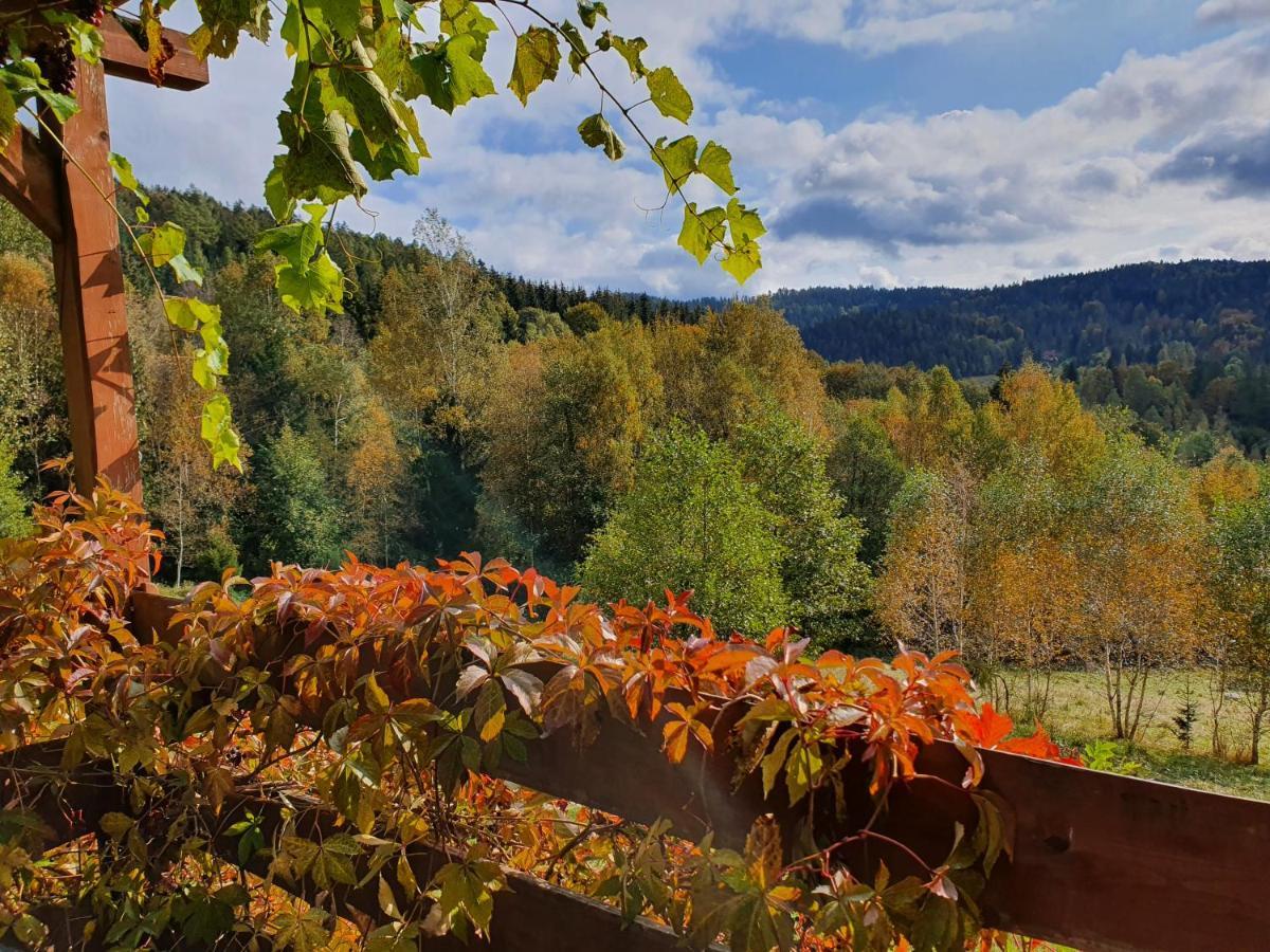 Ksiezycowa Dolina Apartamento Lądek-Zdrój Exterior foto