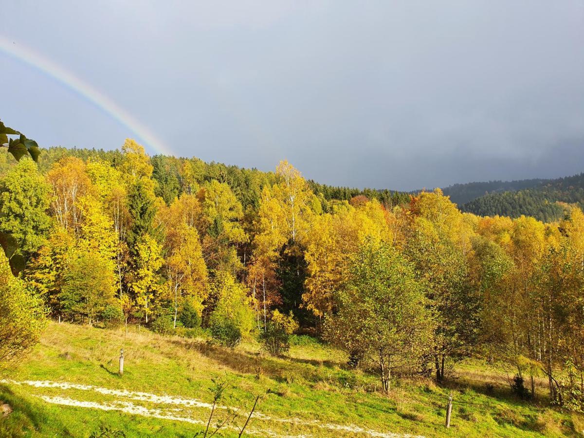 Ksiezycowa Dolina Apartamento Lądek-Zdrój Exterior foto
