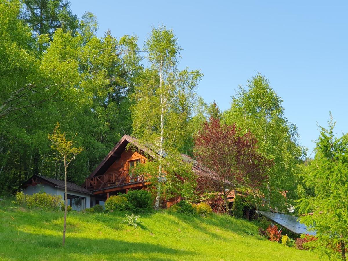 Ksiezycowa Dolina Apartamento Lądek-Zdrój Exterior foto